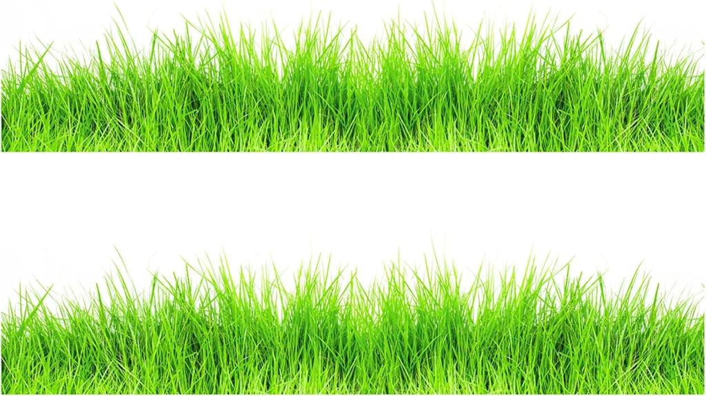 Grass Edible Image cake border 2 Strips per sheet 3.5x10.5 inchs