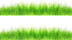 Grass Edible Image cake border 2 Strips per sheet 3.5x10.5 inchs