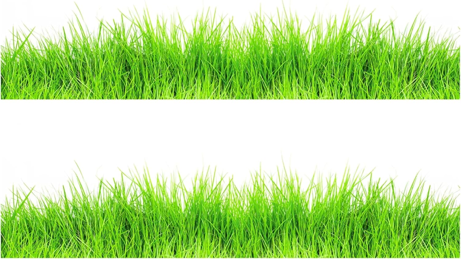 Grass Edible Image cake border 2 Strips per sheet 3.5x10.5 inchs