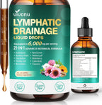 21-in-1 Lymphatic Drainage Drops for Liposomal, Immune & Lymph System Support Supplement for Women & Men with Echinacea, Dandelion, Burdock, Bromelain, Calendula, Turmeric & More, 2 FL OZ