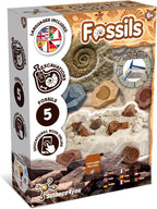 Science4you Fossil Digging Kit for Kids – Archeology, Excavation and Paleotology Kits for Kids, Fossil Dig, Stem Toy and Gift for Boys and Girls Age 6 7 8-12+
