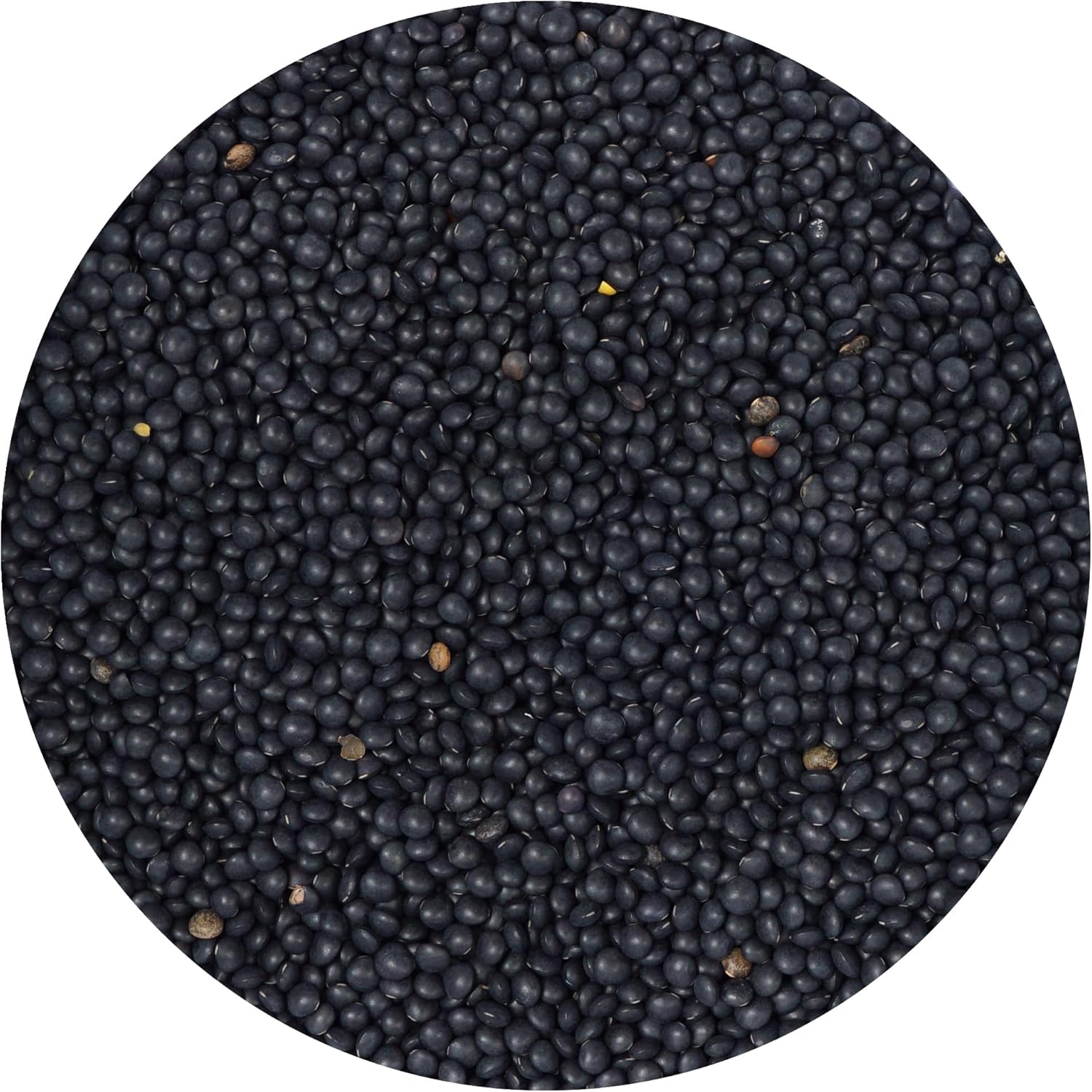 Black Beluga Lentils, 2.5 Pound Bulk Bag