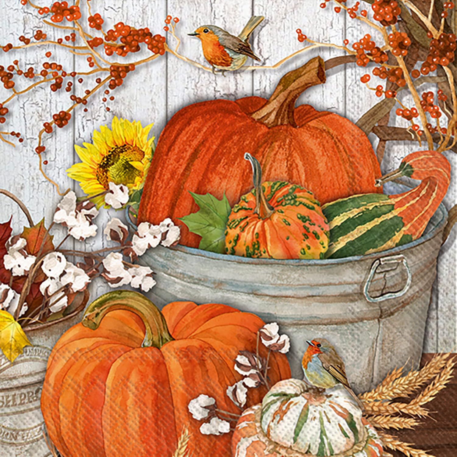 IHR Ideal Home Range Party Napkins Disposable 3-Ply Paper Lunch Napkin Pack, 6.5" x 6.5", It's Pumpkin Time, 20-Count