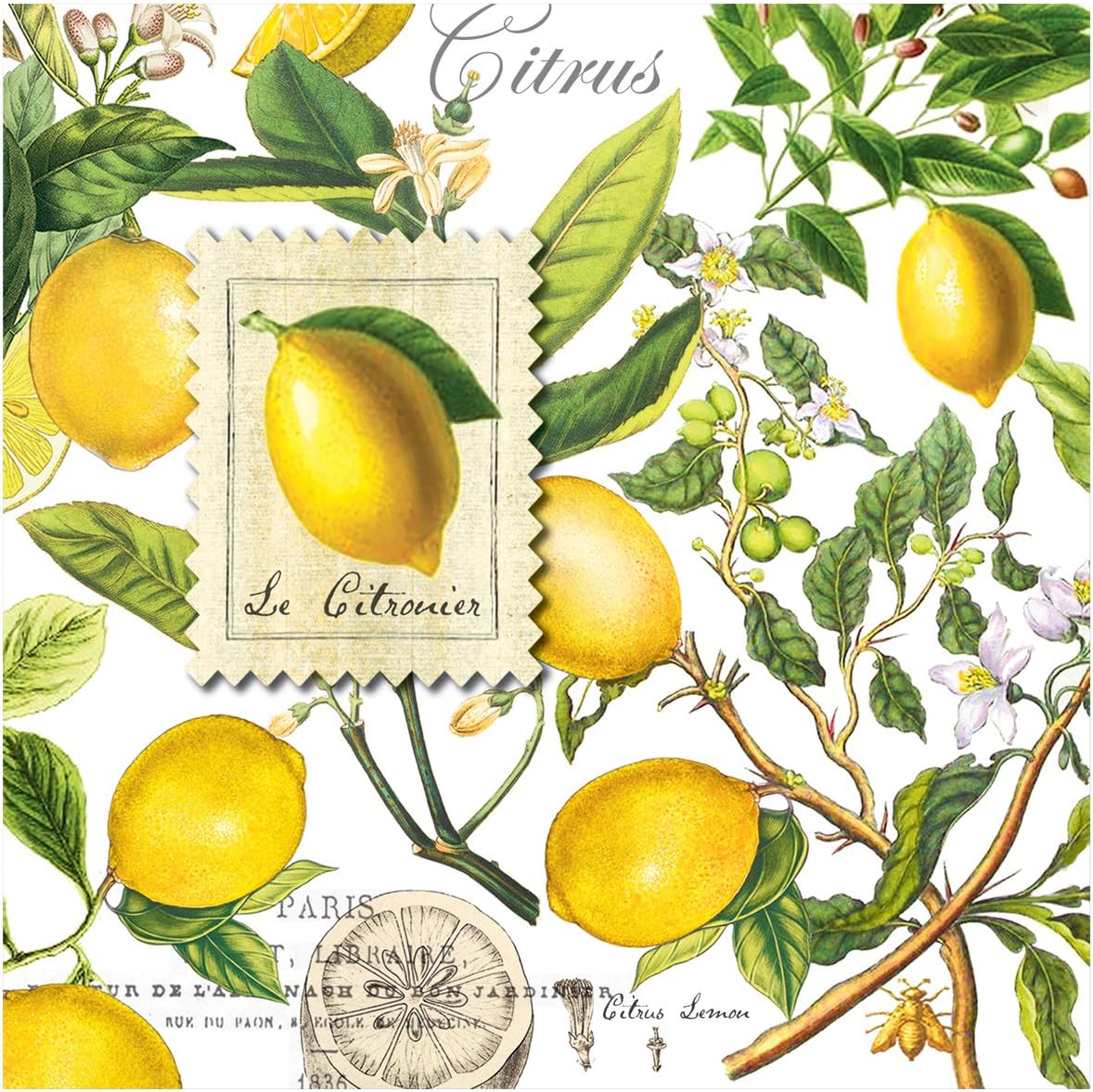 Michel Design Works Soft Triple-ply Paper Luncheon Napkins, Lemon Basil Themed, Perfect for Everday Use and Display, 20 Count