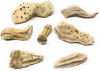 Whole Orris Root - 100% Iris Germanica - Iris Root Contains Essential Oils, Flavonoids And Is Used In Perfumes - Net Weight: 1.76oz / 50g