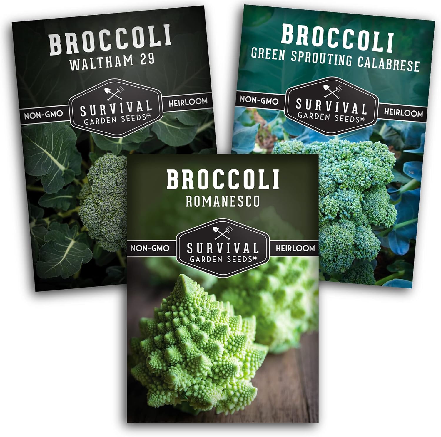 Broccoli Seeds for Planting – 3 Variety Pack – Calabrese, Romanesco, Waltham 29 Heirloom Non-GMO Broccoli Varieties | Cool-Weather Crop for Fall & Spring Gardens – Survival Garden Seeds