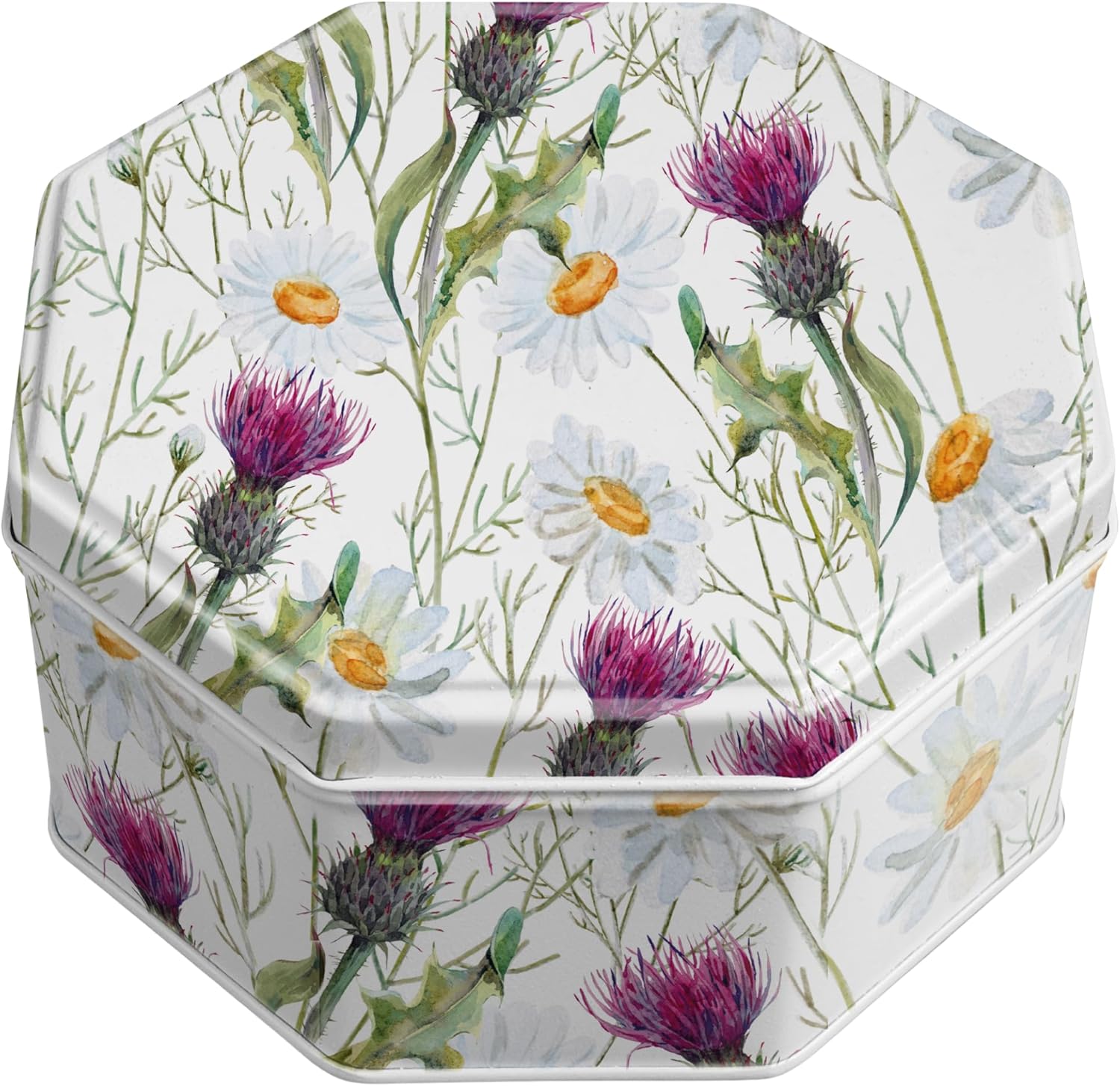 Campbells Shortbread Petticoat Tails Thistle & Daisy Tin 4.1 Oz (115g) - Pure Butter Scottish Shortbread Cookies from Scotland, Butter Cookies in Scottish Thistle Tin, British Tea Biscuits Gift
