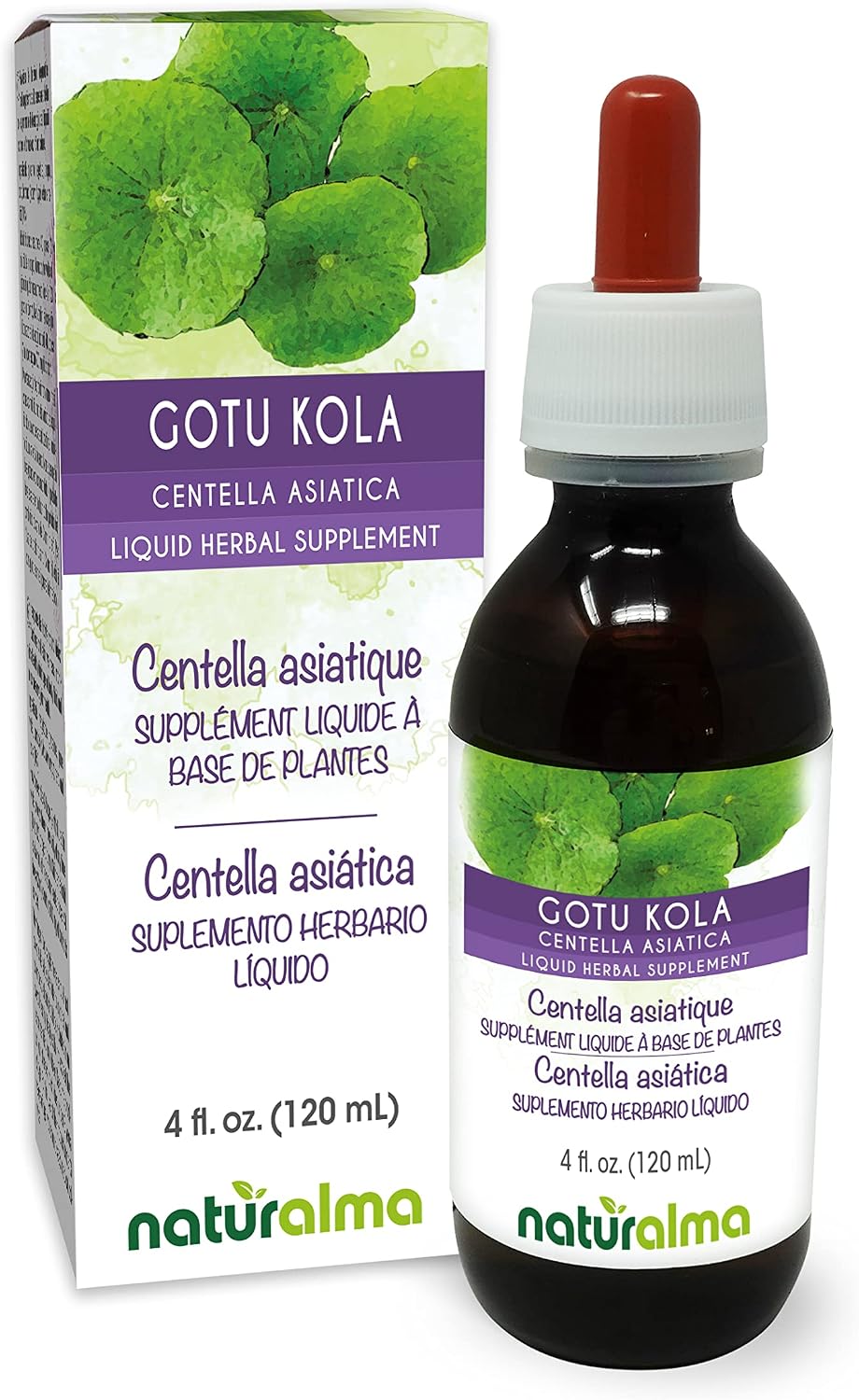 Naturalma Gotu kola (Centella asiatica) herb Alcohol-Free Tincture - 4 fl oz Liquid Extract in Drops - Herbal Supplement - Vegan