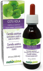 Naturalma Gotu kola (Centella asiatica) herb Alcohol-Free Tincture - 4 fl oz Liquid Extract in Drops - Herbal Supplement - Vegan