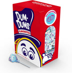Dum Dums Blu Raspberry Lollipops - Bulk Candy Box with Lollipops Individually Wrapped, Single Flavor Gourmet Suckers - 50 Count