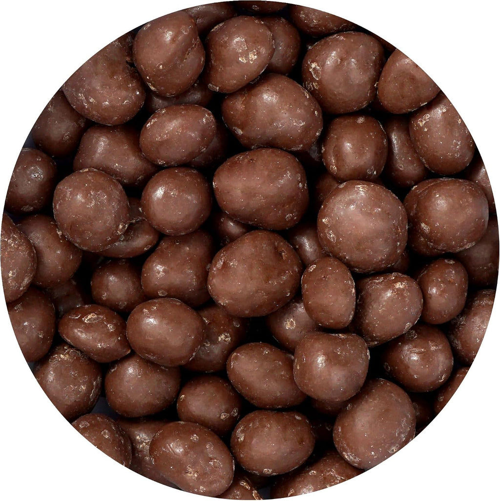 Milk Chocolate Covered Peanuts, 1 Pound Bulk Bag, Chocolate Covered Nuts, The Hampton Popcorn & Candy Company