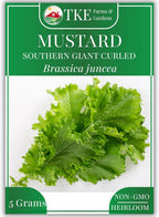TKE Farms & Gardens - Mustard Green Seeds for Planting, Southern Giant Curled, 2000+ Heirloom Non-GMO Seeds, Grow Your own Mustard Greens, Instructions Included on Seed Packet, Brassica juncea, Qty 1