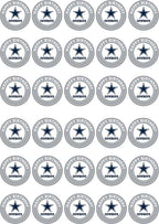 30 x Edible Cupcake Toppers – Dallas& Football Themed Collection of Edible Cake Decorations | Uncut Edible on Wafer Sheet