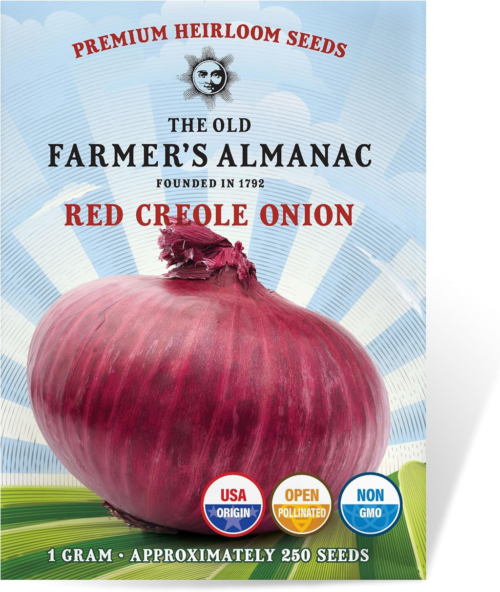 The Old Farmer's Almanac Red Creole Onion Seeds - Heirloom, Non-GMO, Premium Quality, Open Pollinated, Spicy-Sweet Flavor (1 Packet - 1 Gram - Approx 250 Seeds)