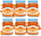 Nature's Hollow Apricot Jam: Sugar Free Jam and Preserves, Low Cal, Non GMO, Keto Jam, Vegan, Gluten Free, and Diabetic Friendly - Sugar Free Jelly - 10oz Pack of 6