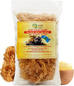 Golden Irish Sea Moss | Wildcrafted from St. Lucia | 16oz Makes ~240+ oz Sea Moss Gel | 100% Natural, Raw & Sun-Dried | Dr. Sebi Inspired, Nutrient-Rich Irish Moss for Health & Wellness