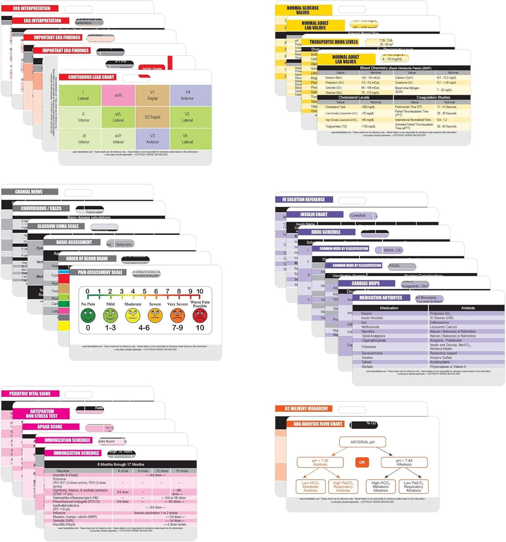 Nurse Nation 30 Horizontal Nursing Badge Reference Cards - Lab Values, EKG, Vitals, and More! (Bonus Cheat Sheets) Great Nurse Gifts - Nursing Student Accessories and Supplies!