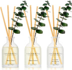 COCORRÍNA Eucalyptus Reed Diffuser Set of 3 - Lavender Eucalyptus, Black Forest, Clean Cotton Scents, 1.7 fl oz Each, Total 5.1 oz, Scented Oil Diffusers for Home & Office