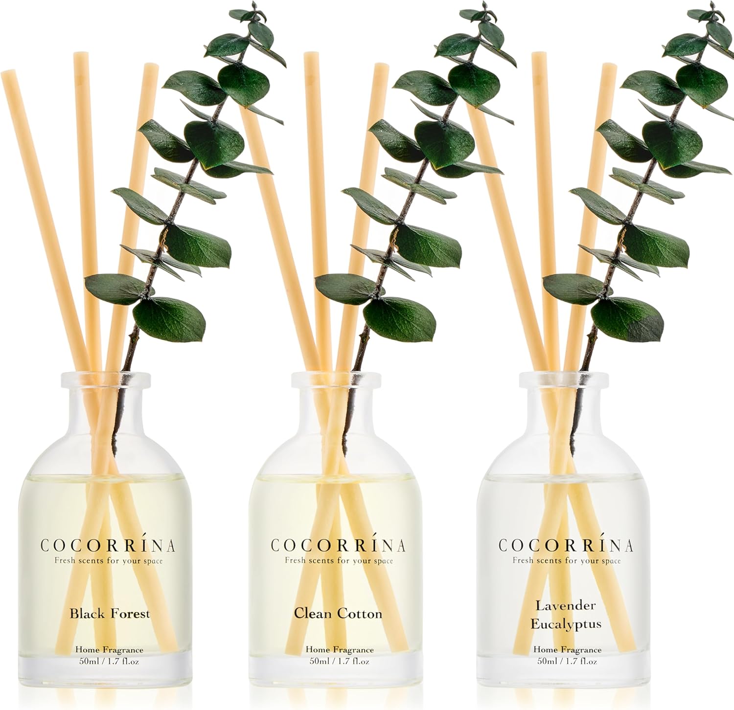 COCORRÍNA Eucalyptus Reed Diffuser Set of 3 - Lavender Eucalyptus, Black Forest, Clean Cotton Scents, 1.7 fl oz Each, Total 5.1 oz, Scented Oil Diffusers for Home & Office