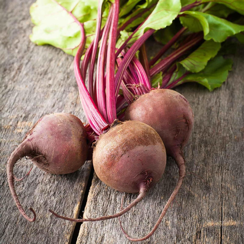 Eden Brothers Beet Seeds - Lutz Green Leaf Non-GMO Seeds for Planting, Packet | Low-Maintenance Vegetable Seeds, Plant During Warm Season, Zones 2, 3, 4, 5, 6, 7, 8, 9, 10