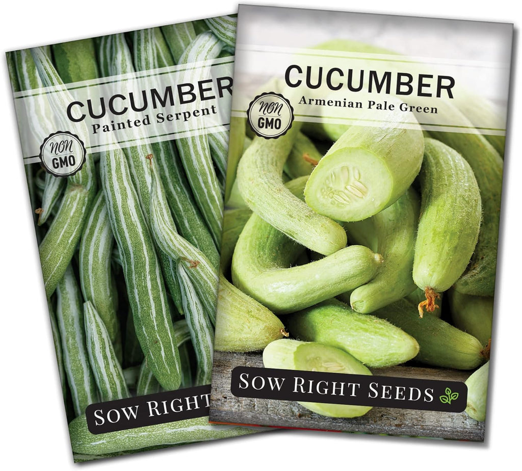 Sow Right Seeds - Armenian Yard Long Cucumber Seed Collection for Planting - Armenian Pale Green and Painted Serpent - Non-GMO Heirloom Packets with Instructions to Plant and Grow a Vegetable Garden