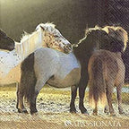 IHR 20 Luxury Paper Cocktail Napkins- Ponies In A Row