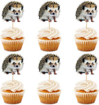 Ercadio 24 Pack Hedgehog Jungle Animals Cupcake Toppers Safari Animal Cupcake Picks Animals Woodland Theme for Baby Shower Kids Birthday Party Cake Decorations Supplies