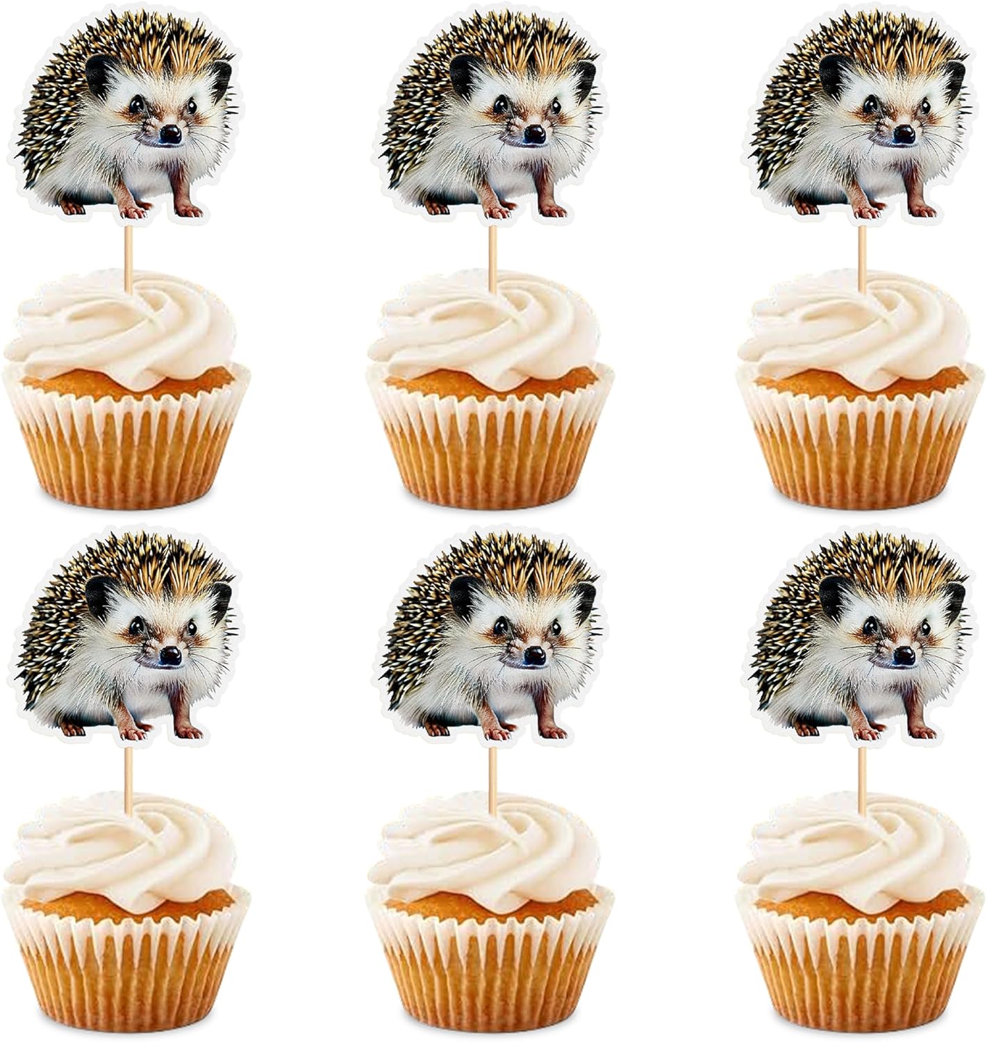 Ercadio 24 Pack Hedgehog Jungle Animals Cupcake Toppers Safari Animal Cupcake Picks Animals Woodland Theme for Baby Shower Kids Birthday Party Cake Decorations Supplies