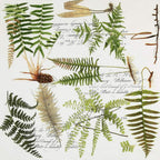 Zelten Colored Paper Napkins, 20 Count Shabby Chic Napkins for Wedding, Dinner Tea Party Shower (Fern Ⅱ)