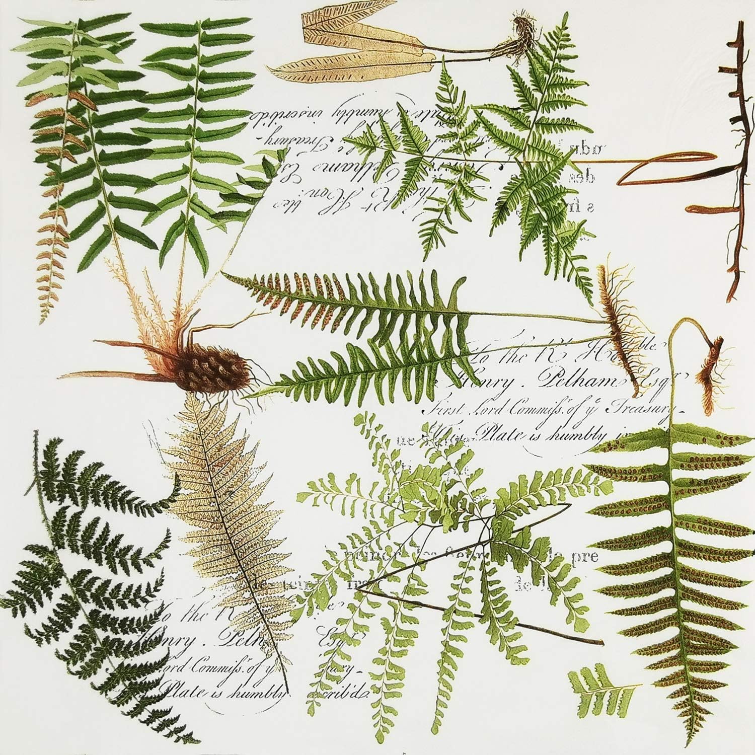 Zelten Colored Paper Napkins, 20 Count Shabby Chic Napkins for Wedding, Dinner Tea Party Shower (Fern Ⅱ)