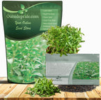Outsidepride Summer Savory Seeds - 1/4 lb Annual Culinary Herb Seeds for Planting with Aromatic Leaves, Drought Tolerant & Compact for Container, Raised Bed, & Kitchen Herb Garden