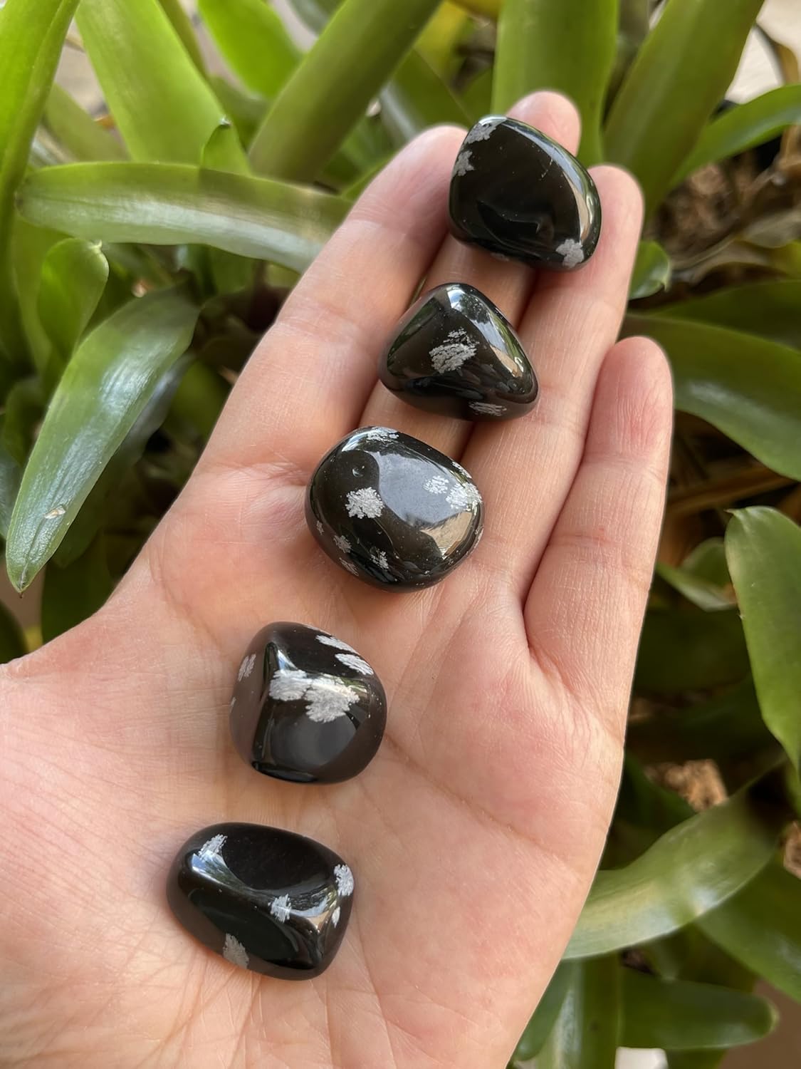 GAF TREASURES 5 Pcs Tumbled Stones, Natural Tumbled Gemstone, Polished Rocks, Tumbled Crystals, Stones for Wicca, Reiki, Therapy, Meditation and Crystal Healing