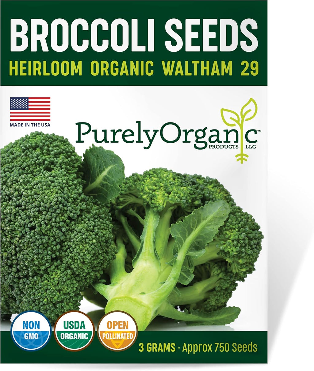 Purely Organic Broccoli Seeds (Waltham 29) - Approx 750 Seeds - USDA Organic, Non-GMO, Open Pollinated, Heirloom, USA Origin