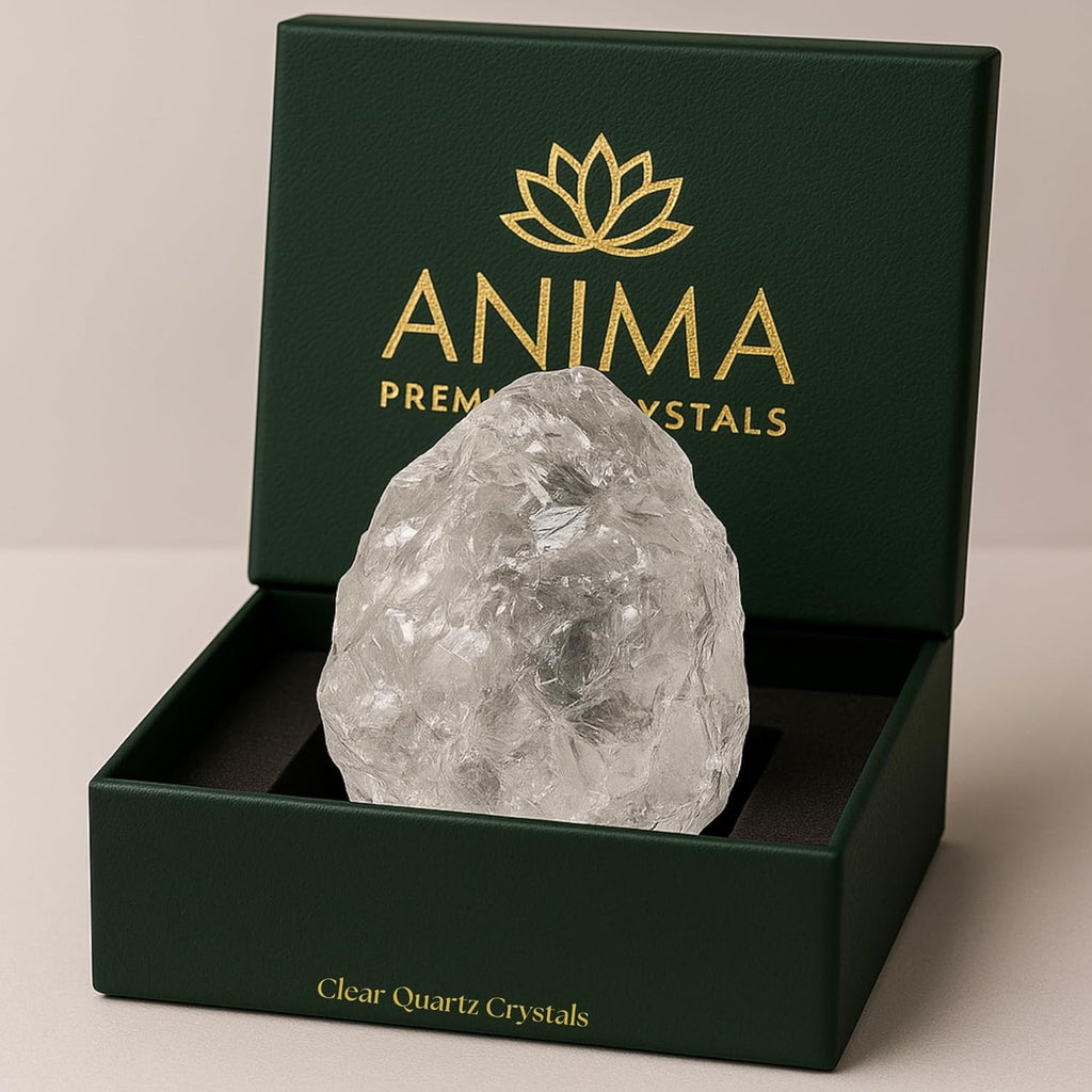 Anima Clear Quartz Crystal – Large 1.6–2" Natural Raw Clear Quartz Stone for Clarity, Energy & Amplification – Ethically Sourced, Presented in Elegant Gift Box