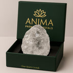 Anima Clear Quartz Crystal – Large 1.6–2" Natural Raw Clear Quartz Stone for Clarity, Energy & Amplification – Ethically Sourced, Presented in Elegant Gift Box