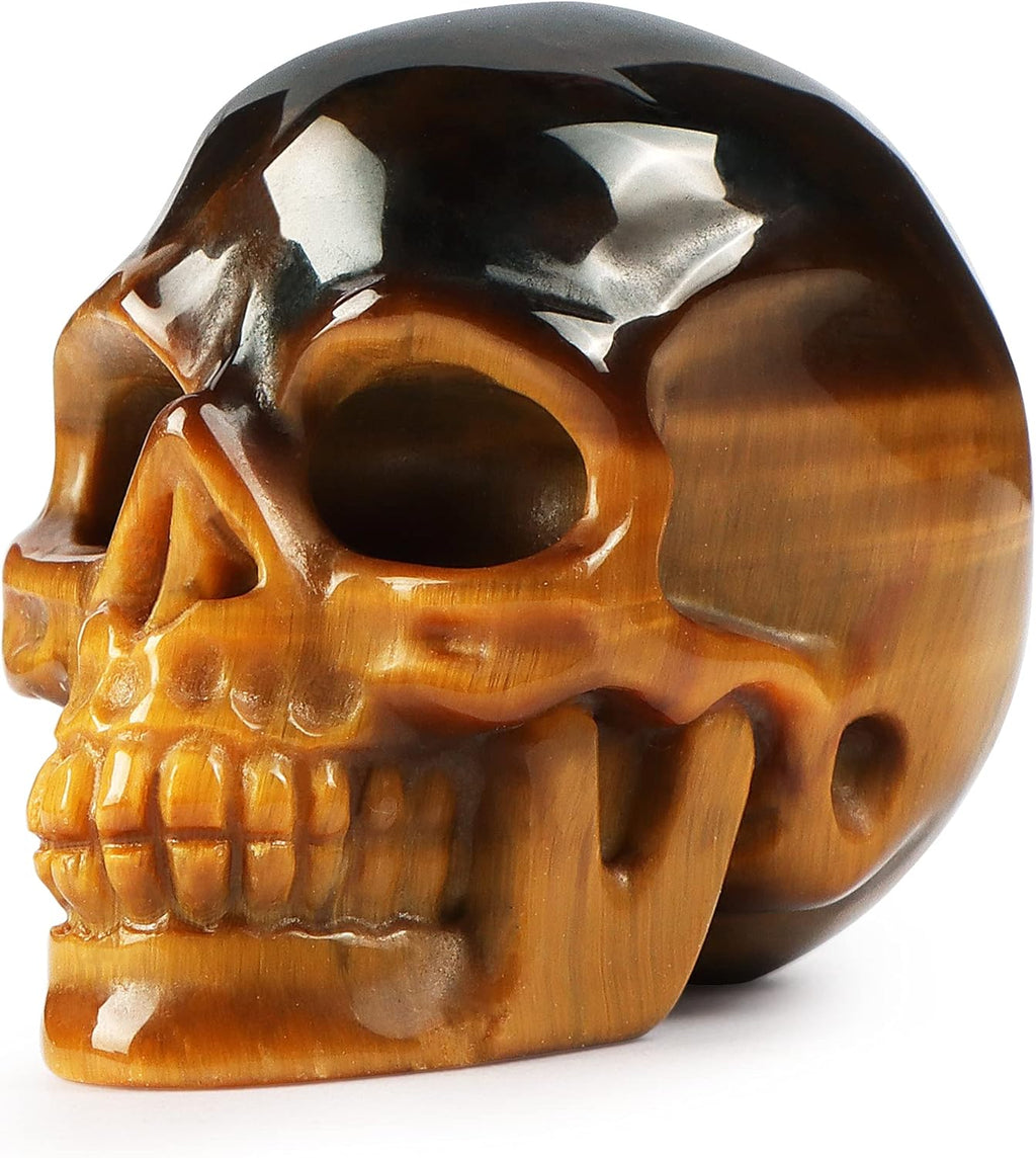 Artistone 2''Tigers Eye Crystal Skull Head Statue Decor,Hand Carved Gemstone Quartz Human Skull Figurine Sculpture Healing Stones for Closet,Fireplace,Home Decoration