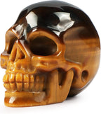 Artistone 2''Tigers Eye Crystal Skull Head Statue Decor,Hand Carved Gemstone Quartz Human Skull Figurine Sculpture Healing Stones for Closet,Fireplace,Home Decoration