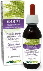 Naturalma Horsetail (Equisetum arvense) herb Alcohol-Free Tincture - 4 fl oz Liquid Extract in Drops - Herbal Supplement - Vegan