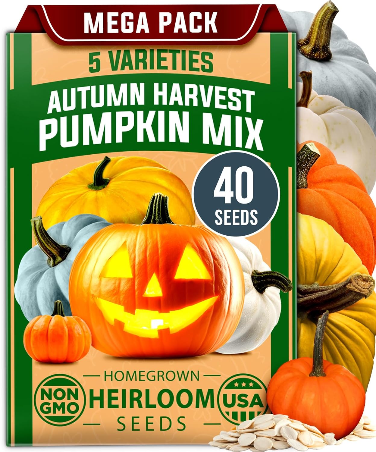 HOME GROWN Pumpkin Seeds for Planting - 5 Variety Mix - 40 Seeds - Heirloom Non GMO USA - Vegetable Garden - Edible & Jack O Lanterns - Connecticut Field Blue White Mini - Autumn Harvest
