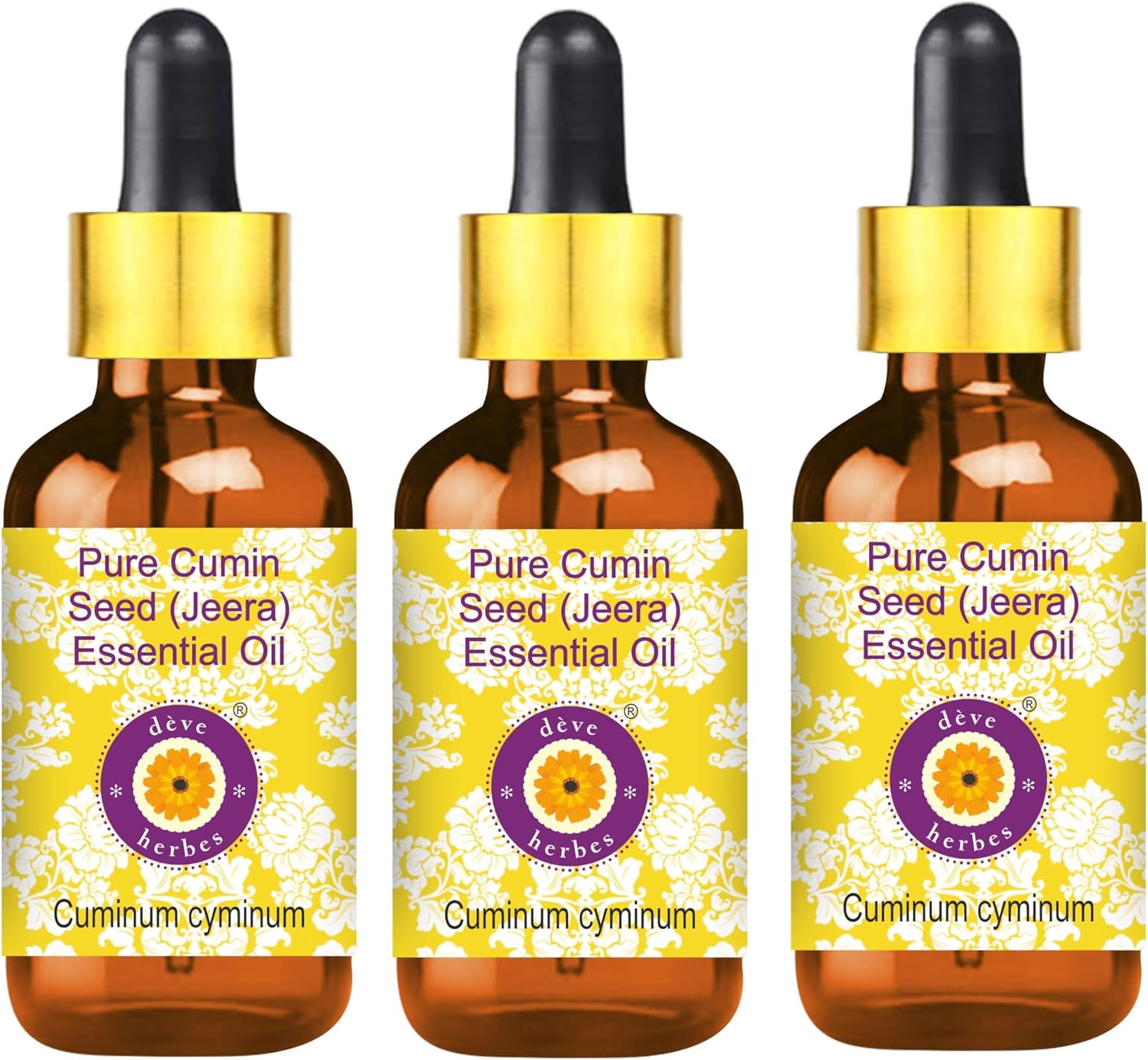 Deve Herbes Pure Cumin Seed Essential Oil (Cuminum cyminum) with Glass Dropper Steam Distilled (Pack of Three) 100ml X 3 (10 oz)