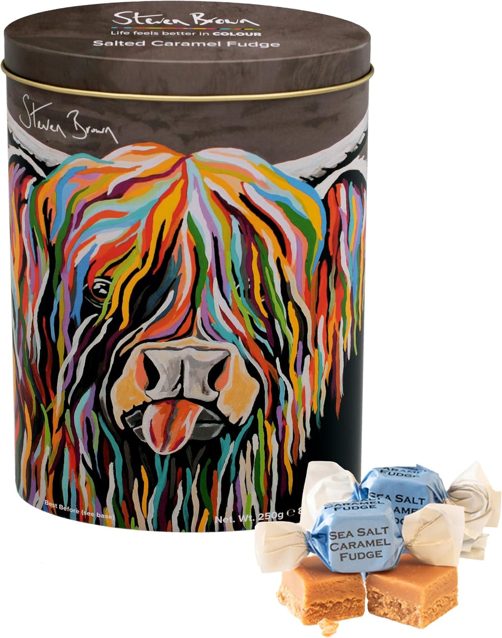 Gardiners of Scotland Handmade Fudge, Steven Brown - Senga McCoo Salted Caramel Fudge 8.8 Ounce Tin