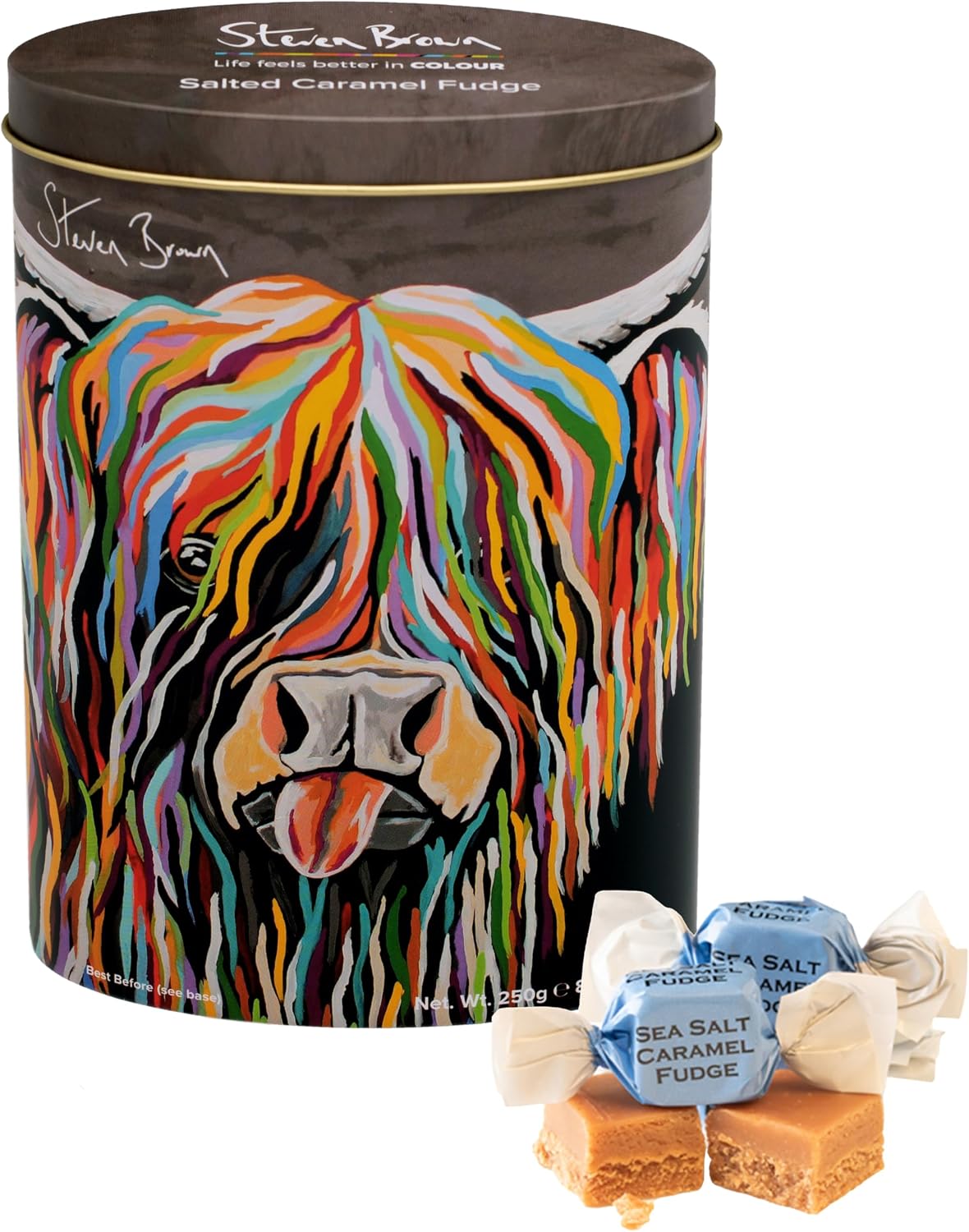 Gardiners of Scotland Handmade Fudge, Steven Brown - Senga McCoo Salted Caramel Fudge 8.8 Ounce Tin