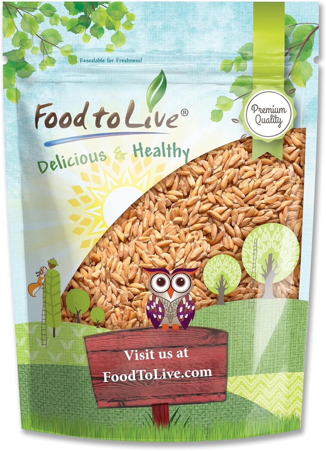 Food to Live Spelt Berries, 1 Pound – A Nutritious Ancient Grain for Healthy Cooking, Baking, or Snacking. Rich in Fiber, Protein, and Iron. Made in USA. Order Whole Hulled Wheat Seeds in Bulk!