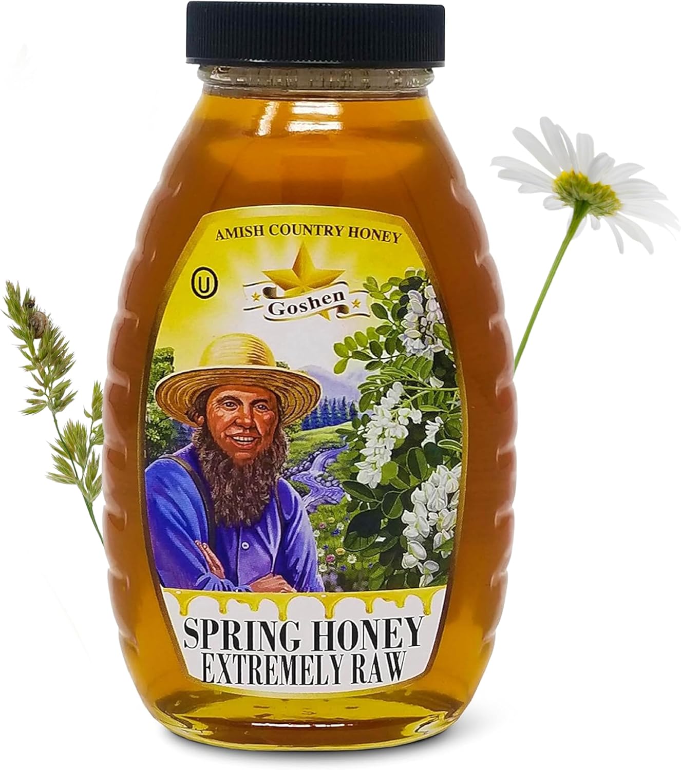 Goshen Amish Country Extremely Raw Pure Spring Honey - Unfiltered, Unprocessed, Pure & Natural - Harvested in the USA - Rich Flavor for Tea, Cooking, Wellbeing - Kosher Certified - 16oz Glass Jar