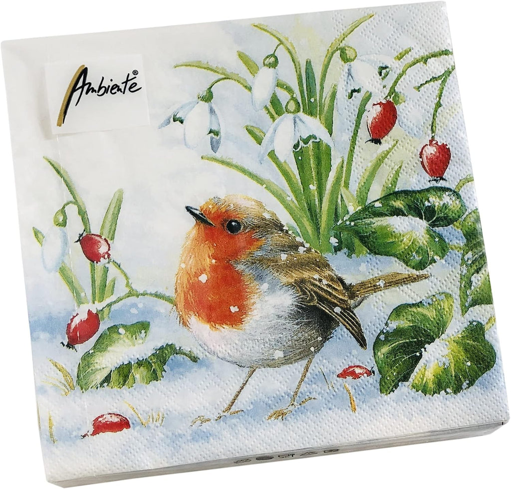 20-ct 13x13 Robin Christmas Napkins for Decoupage - Winter Bird Paper Napkins for Fall and Thanksgiving Decorative