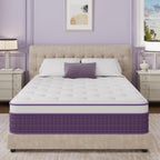 Queen Mattress 12 inch,Purple Queen Size Mattress in a Box,Cooling Gel Infused Memory Foam and Pocket Spring,Medium Firm,Pressure Relief,CertiPUR-US (Queen (U.S. Standard))