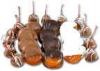US Sweets Chocolate Covered Dried Fruit - Apricots & Cherries Dipped in Dark, Milk & White Chocolate | Gourmet Candy Treat | Delicious Gift | Handmade in Small Batches | Guaranteed to Arrive Fresh