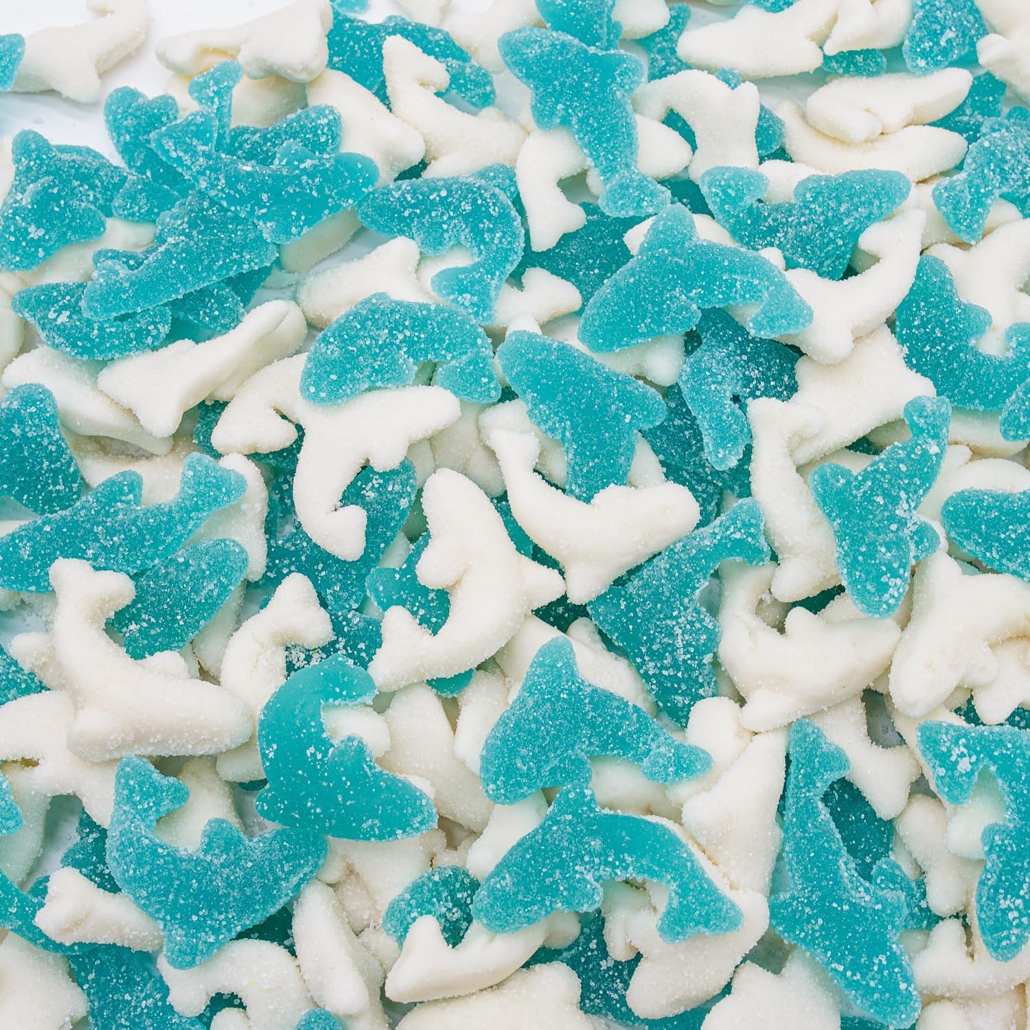 Guatemalan Gummy Sharks 1 lb – Gelatin Based, Perfectly Chewy, Cranberry Flavored, Jelly Fruit Candy Bulk in Resealable Bag