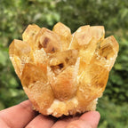Citrine Quartz Cluster Reiki Healing Irregular Shape & Size Natural Crystal Point Mineral Crystal Specimen Home Decor (300~400g)