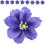 Global Sugar Art Clematis Sugar Cake Flowers, Light Purple, 3 Count by Chef Alan Tetreault